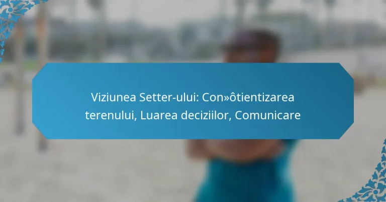 Viziunea Setter-ului: Conștientizarea terenului, Luarea deciziilor, Comunicare